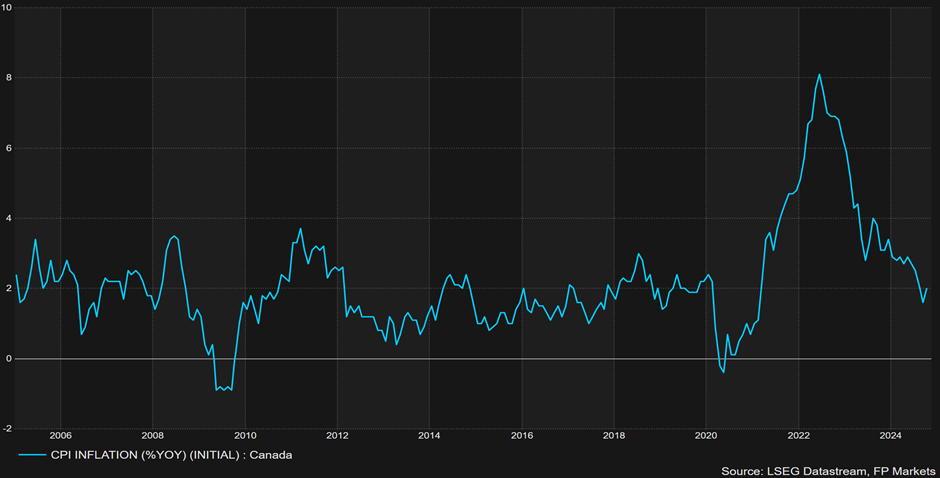 光大肉鸽养殖项目预计月底引进首批5000对种鸽